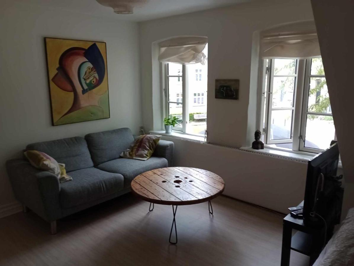 Professor Labri Apartments Odense Buitenkant foto