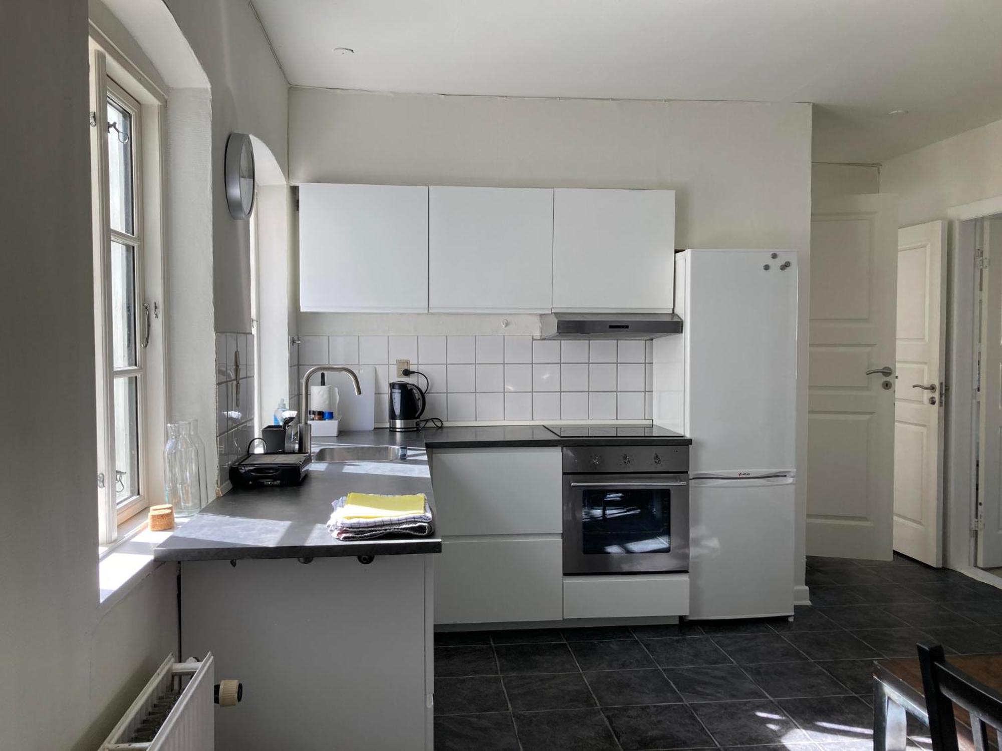 Professor Labri Apartments Odense Buitenkant foto